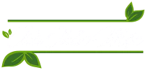 Trà thảo mộc